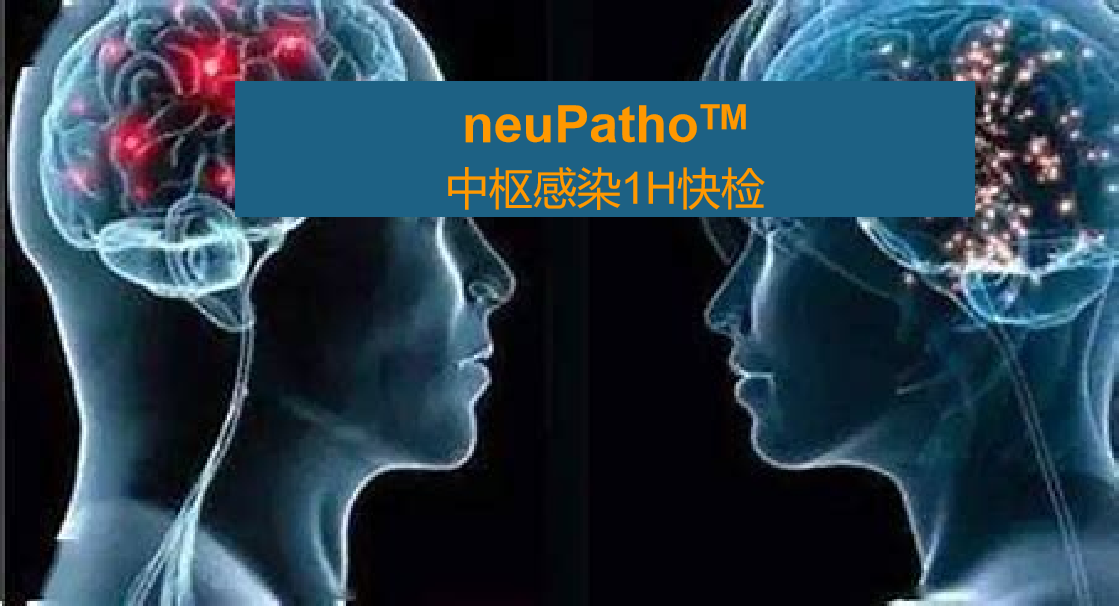 neuPatho，中枢感染病原谱