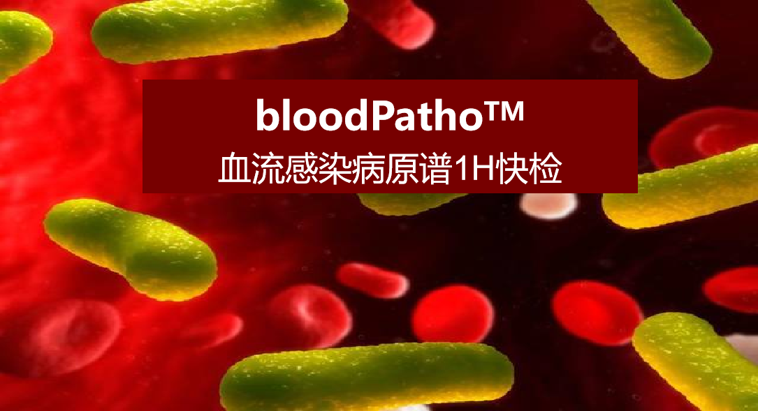 bloodPatho，血流感染病原谱
