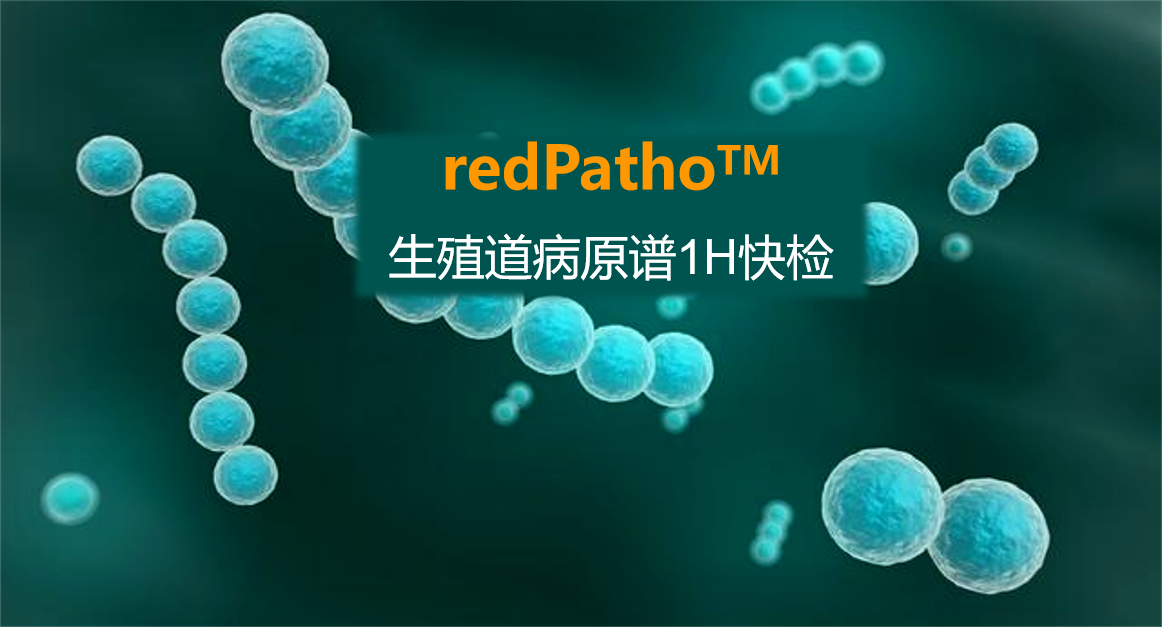 redPatho，生殖道感染病原谱