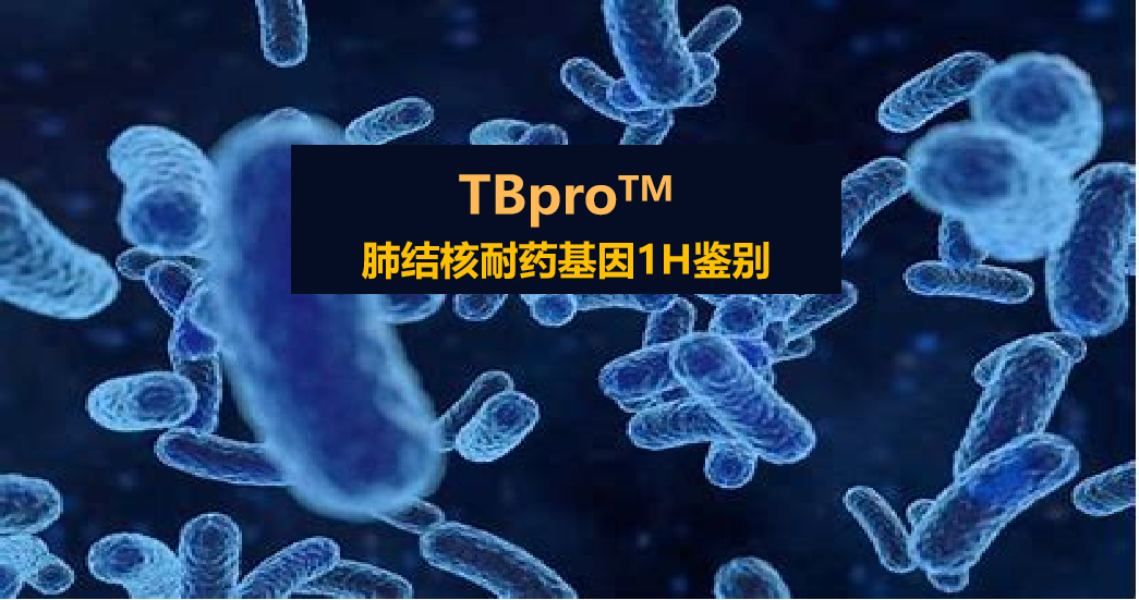 TBpro，结核菌耐药谱